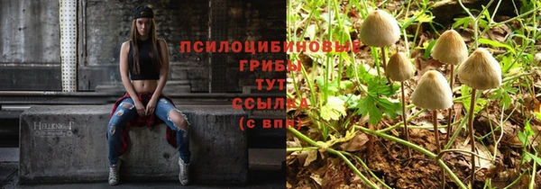 амф Абдулино